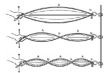 Invisible Jump Rope Example What Is Scalar Energy and Why It Matters for Your Wellbeing - Aha Harmony