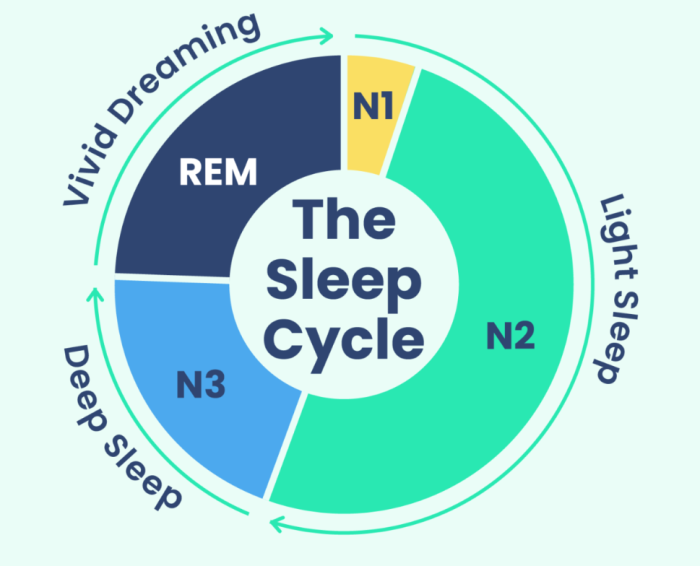 The Science of Sleep —— Why Quality Sleep is Crucial for Your Health ...