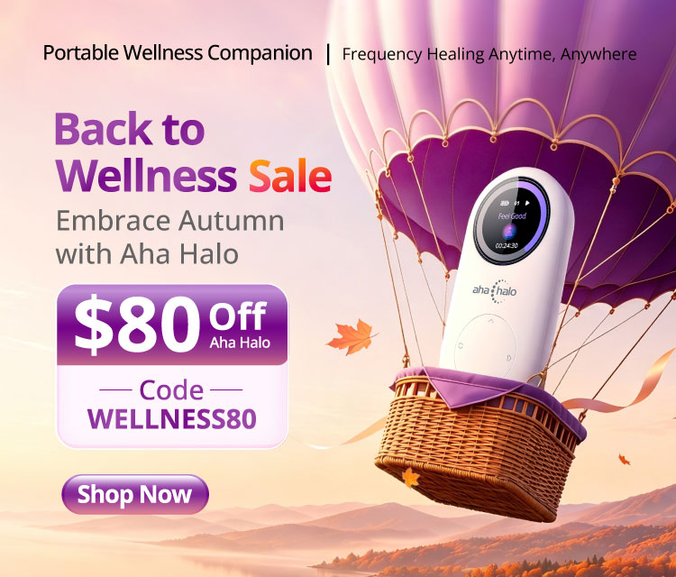 Back to wellness mobile